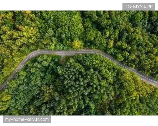 俱乐部首创“青少年运动+环境保护”绿色发展新模式，推动可持续成长